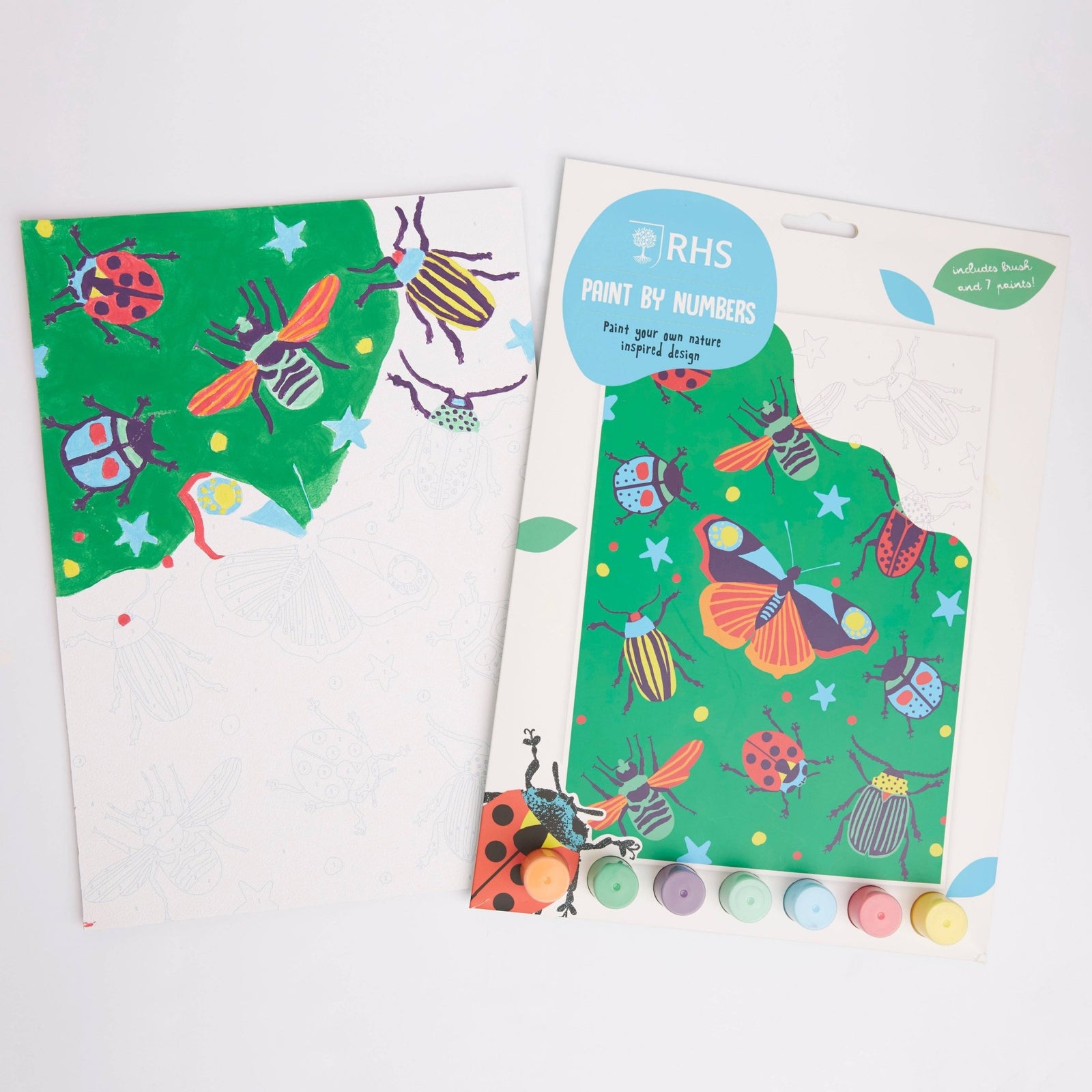 RHS Paint By Numbers For Kids: Bugs | Buy Online from The Home Crafters