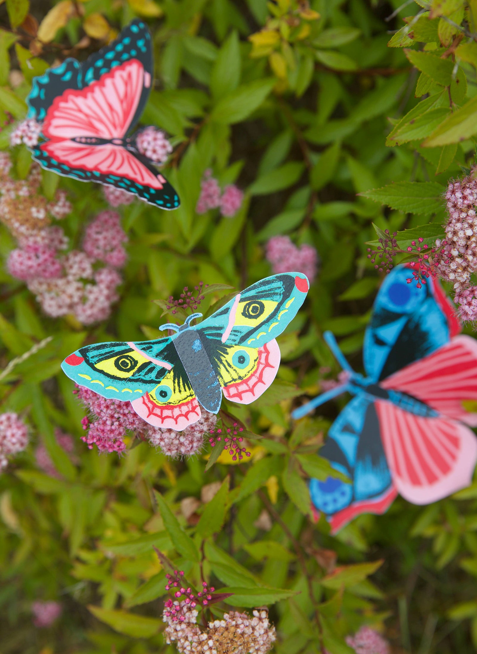 Royal Horticultural Society Make Your Own 3D Bugs Kit