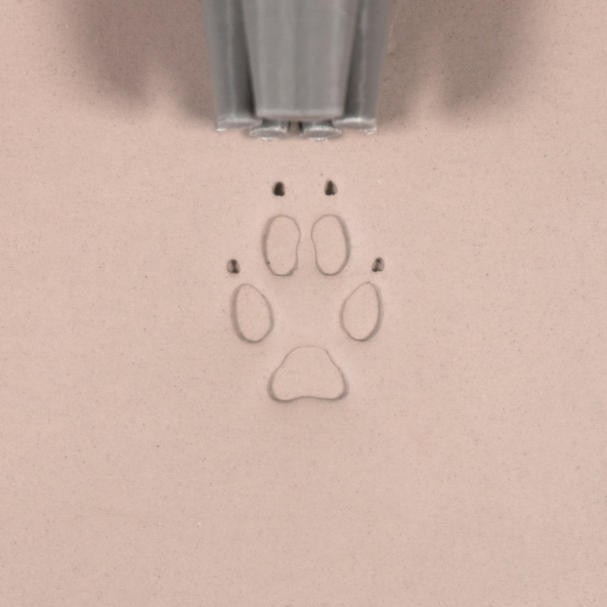 Fox Paw Stamp - Medium - Style 1 | Buy Online from The Home Crafters