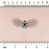 Fox Paw Stamp - Medium - Style 1 | Buy Online from The Home Crafters