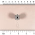 Fox Paw Stamp - Medium - Style 2 | Buy Online from The Home Crafters