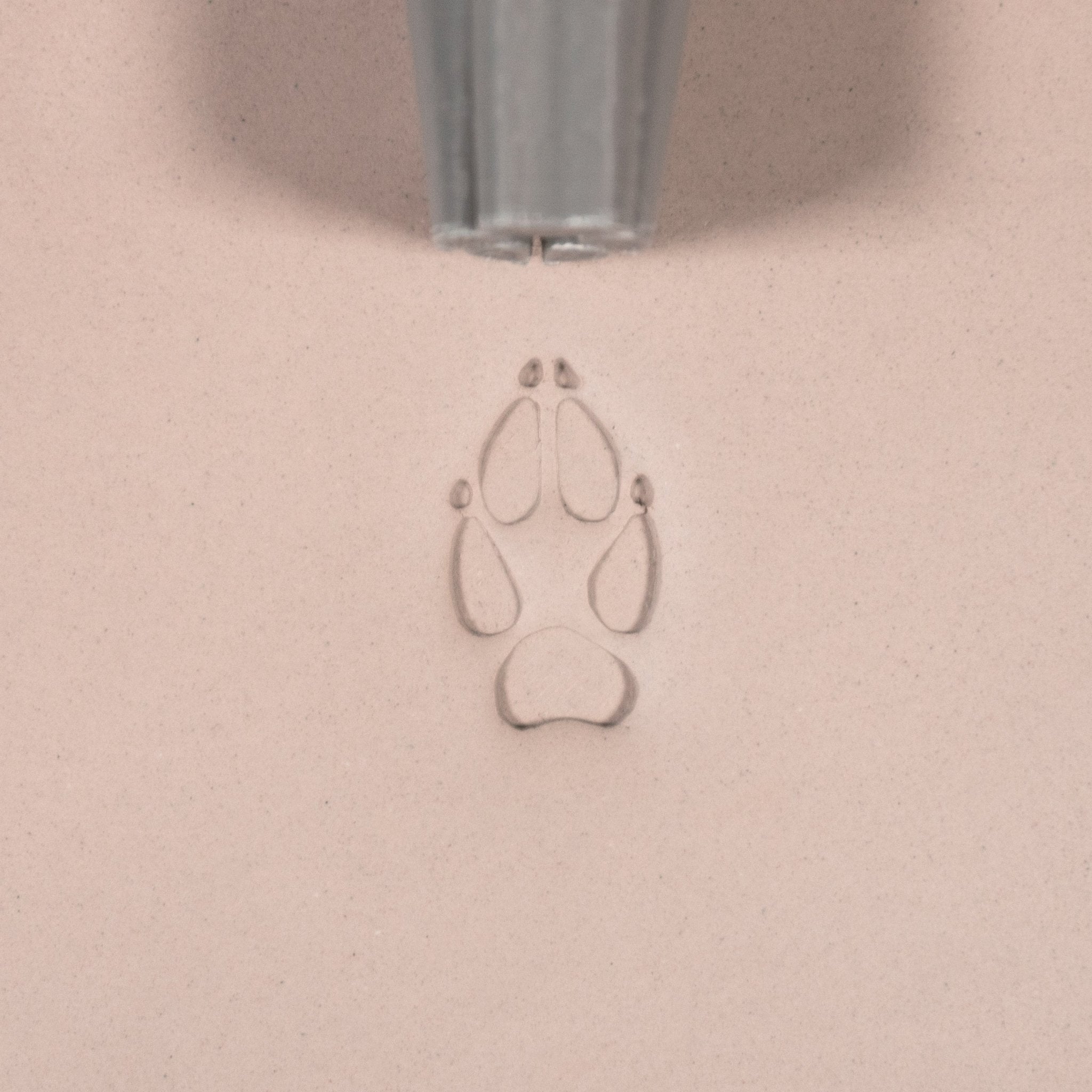Fox Paw Stamp - Medium - Style 2 | Buy Online from The Home Crafters