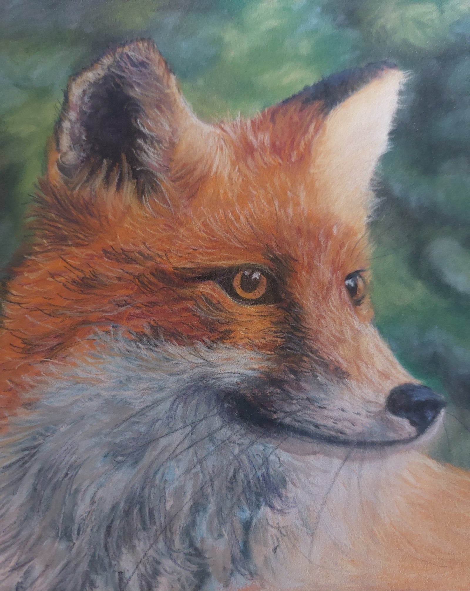 Fairy Fae Greetings Card - Fred Fox | Buy Online from The Home Crafters