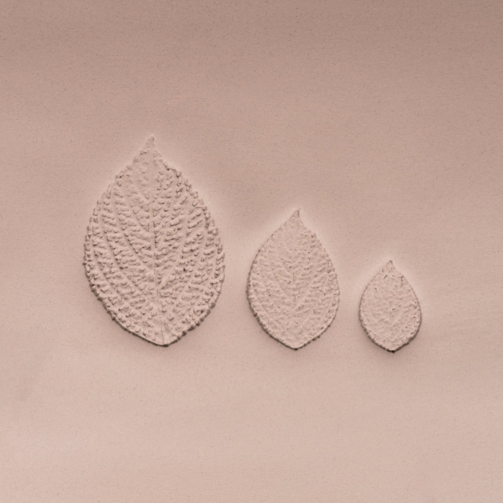 Generic Plant Leaf Stamp - Photo Textured - Style 2 | Buy Online from The Home Crafters