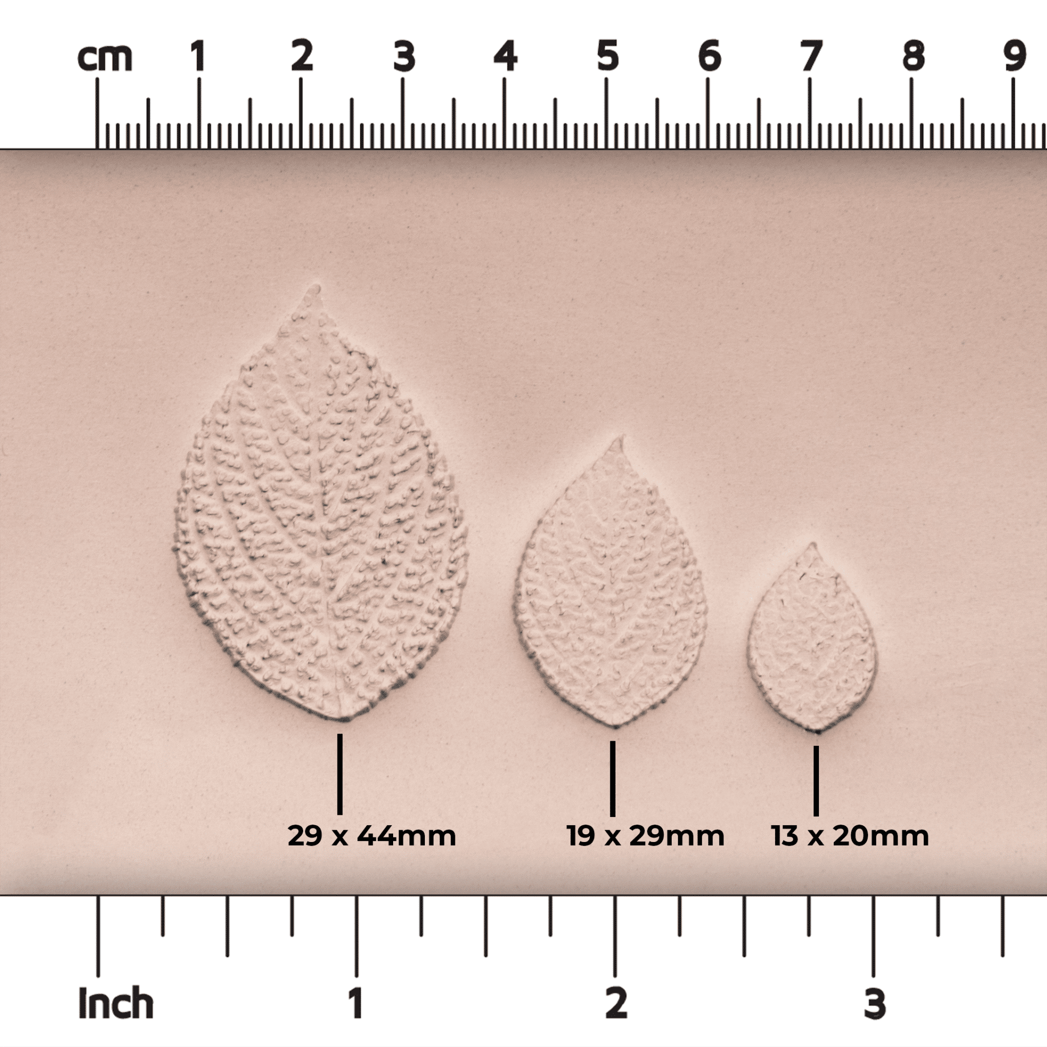 Generic Plant Leaf Stamp - Photo Textured - Style 2 | Buy Online from The Home Crafters