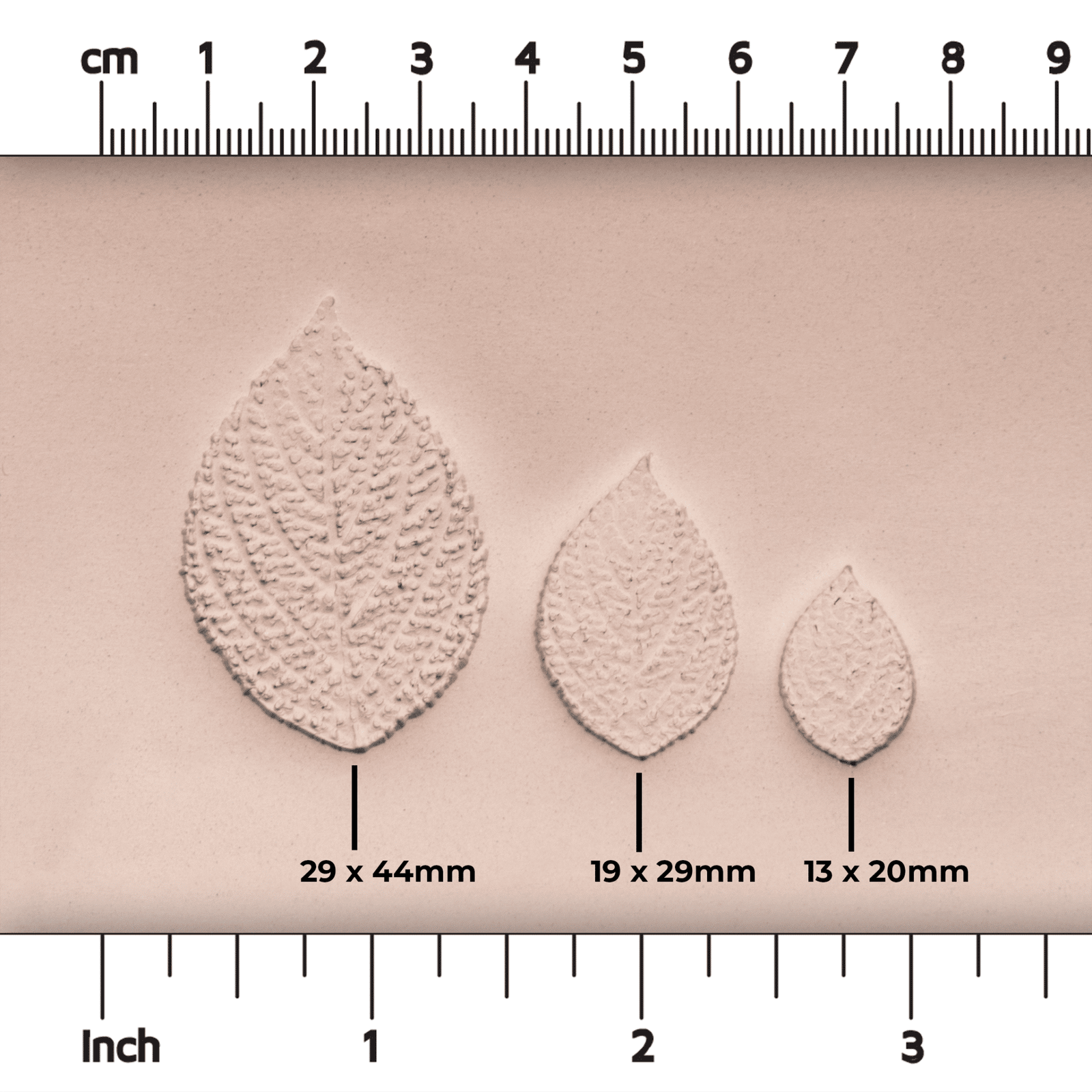 Generic Plant Leaf Stamp - Photo Textured - Style 2 | Buy Online from The Home Crafters