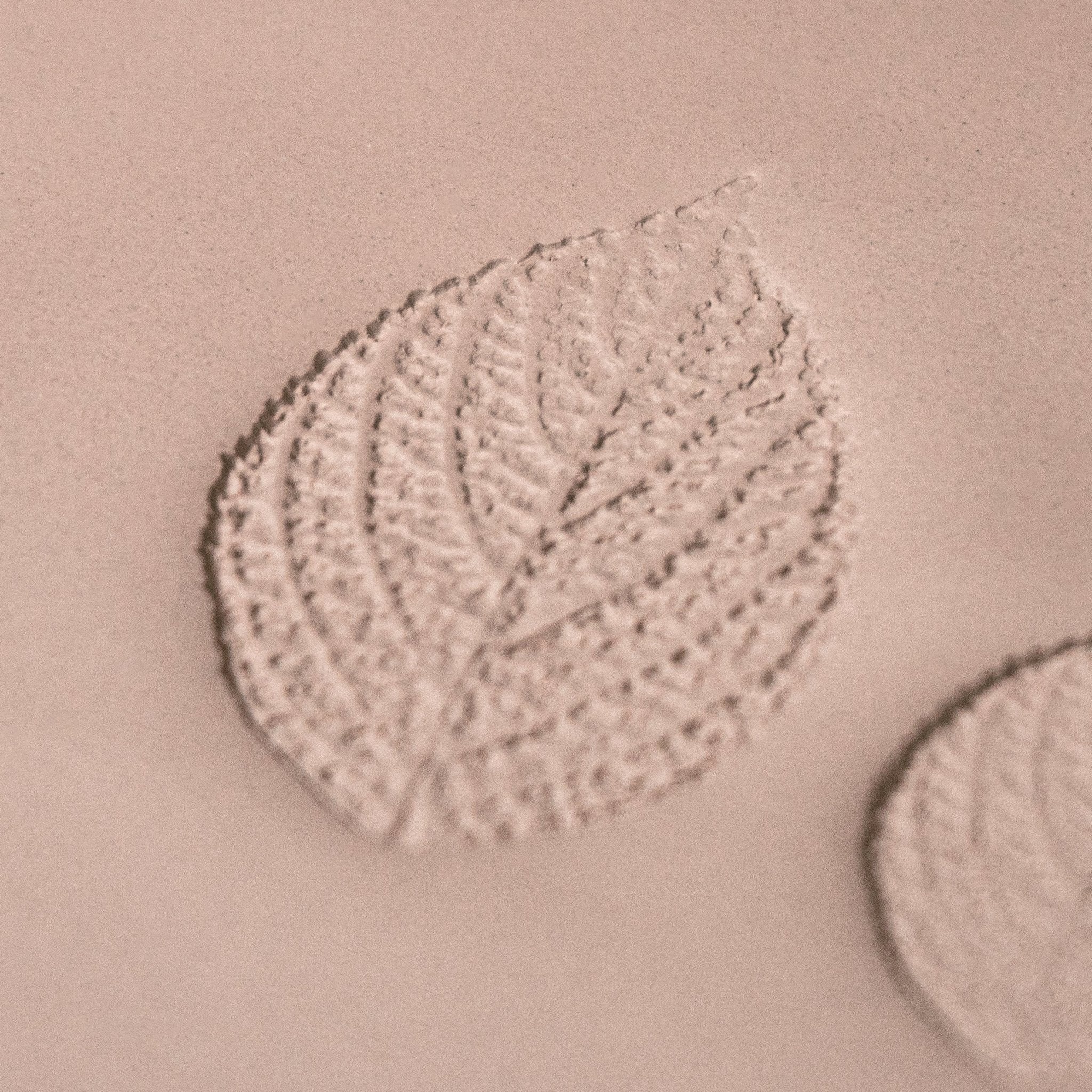 Generic Plant Leaf Stamp - Photo Textured - Style 2 | Buy Online from The Home Crafters