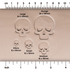 Halloween Human Skull Stamps | Buy Online from The Home Crafters