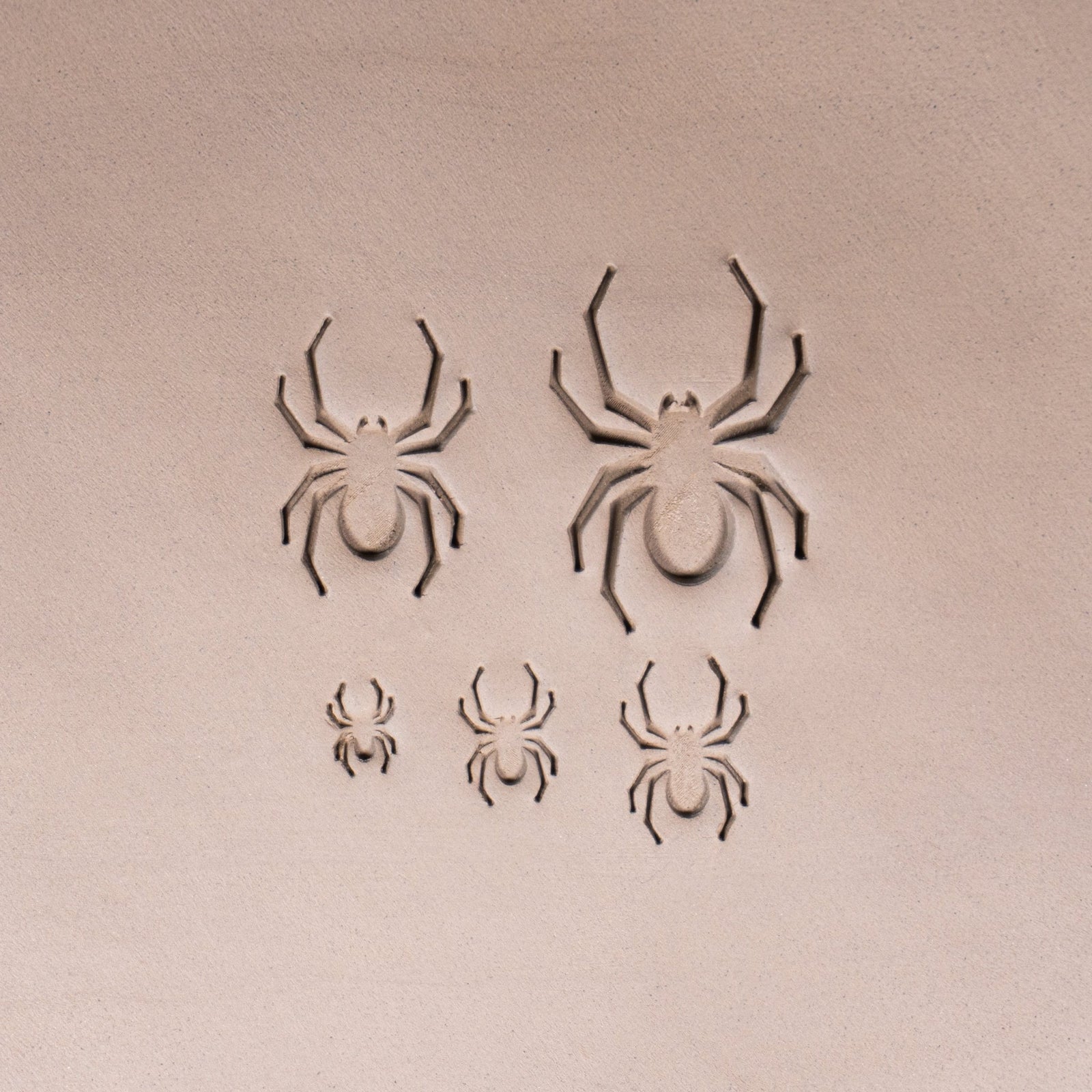 Halloween Spider Stamps | Buy Online from The Home Crafters