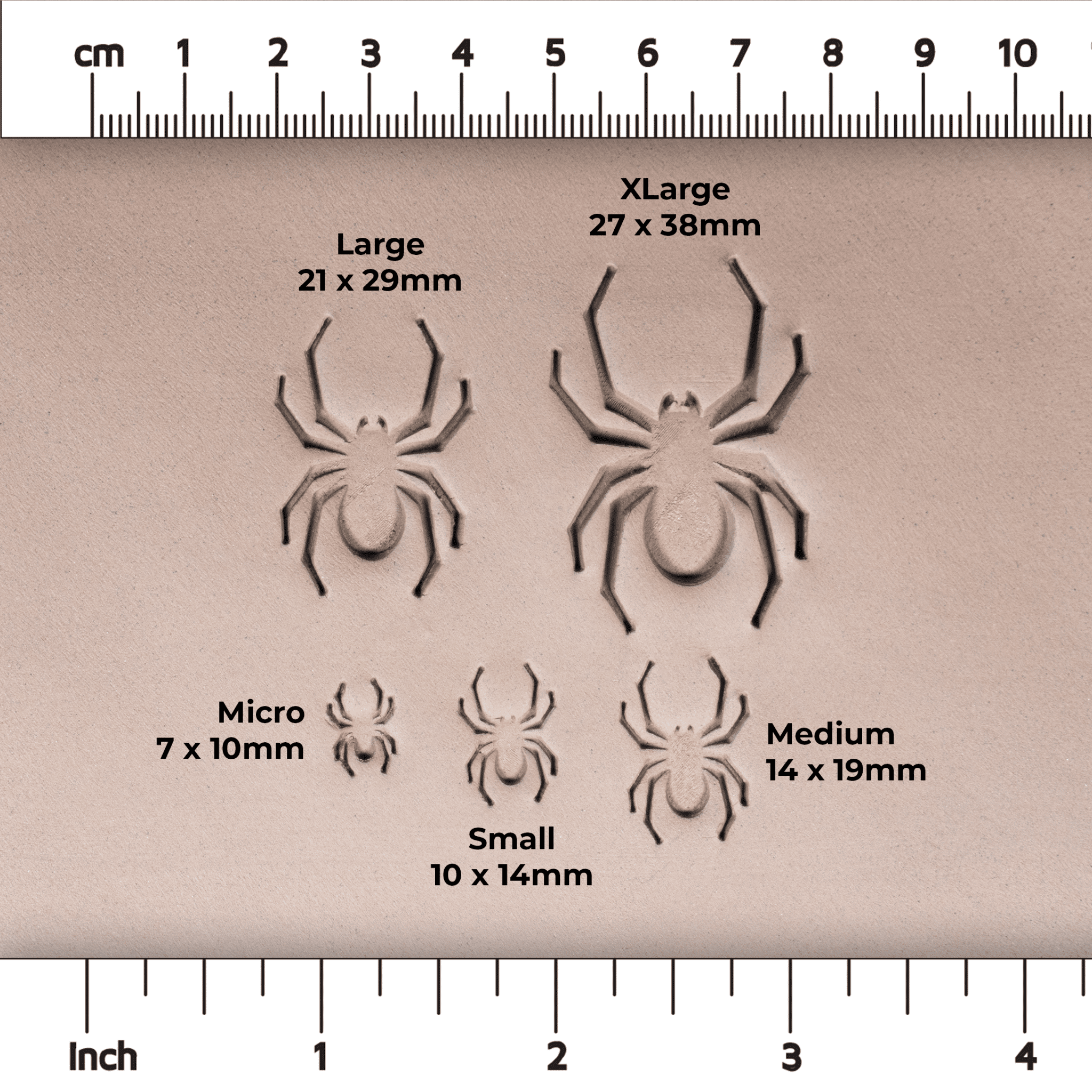 Halloween Spider Stamps | Buy Online from The Home Crafters