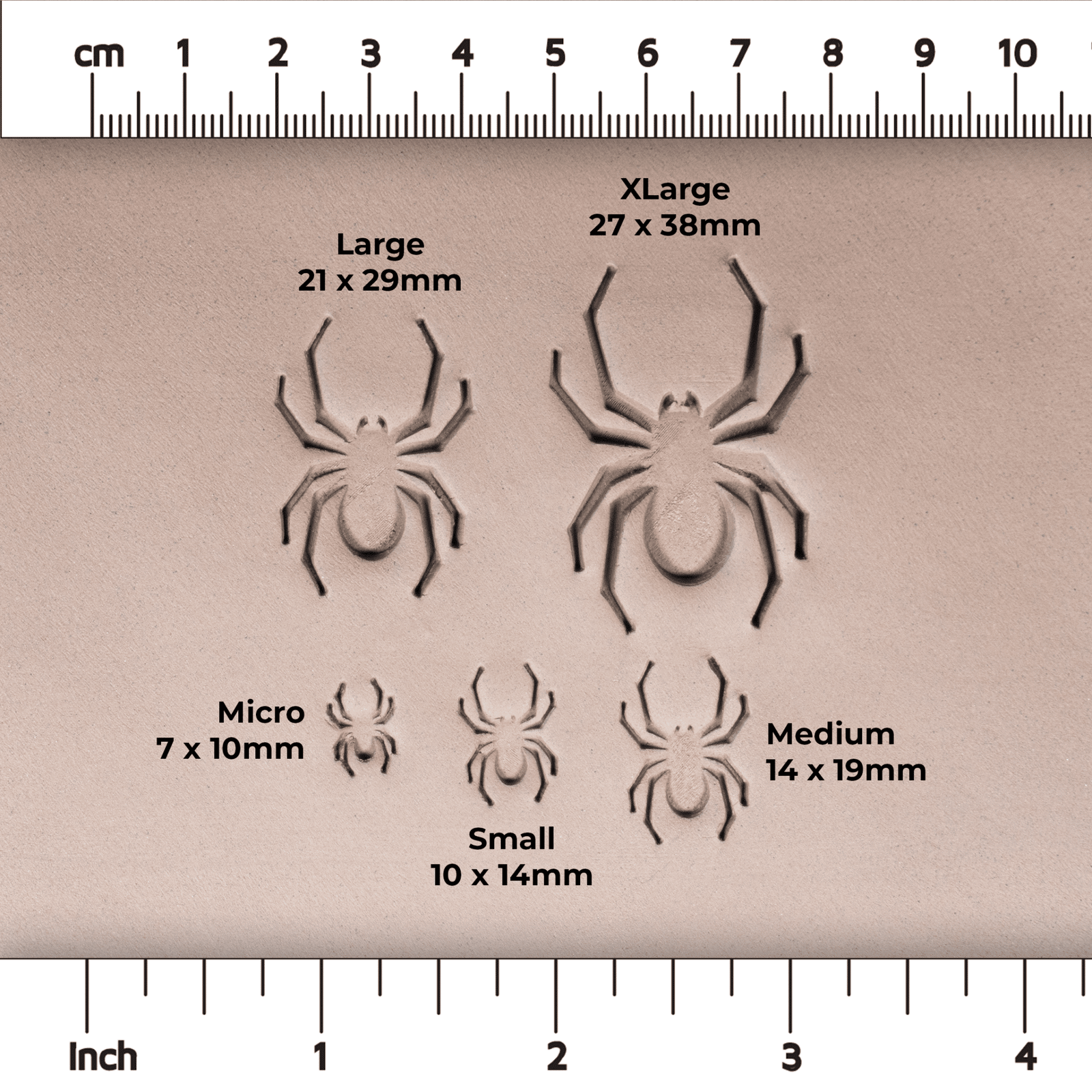 Halloween Spider Stamps | Buy Online from The Home Crafters