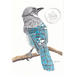 Handmade Colour Pencil Drawing - Bird Series - Blue Jay | Buy Online from The Home Crafters