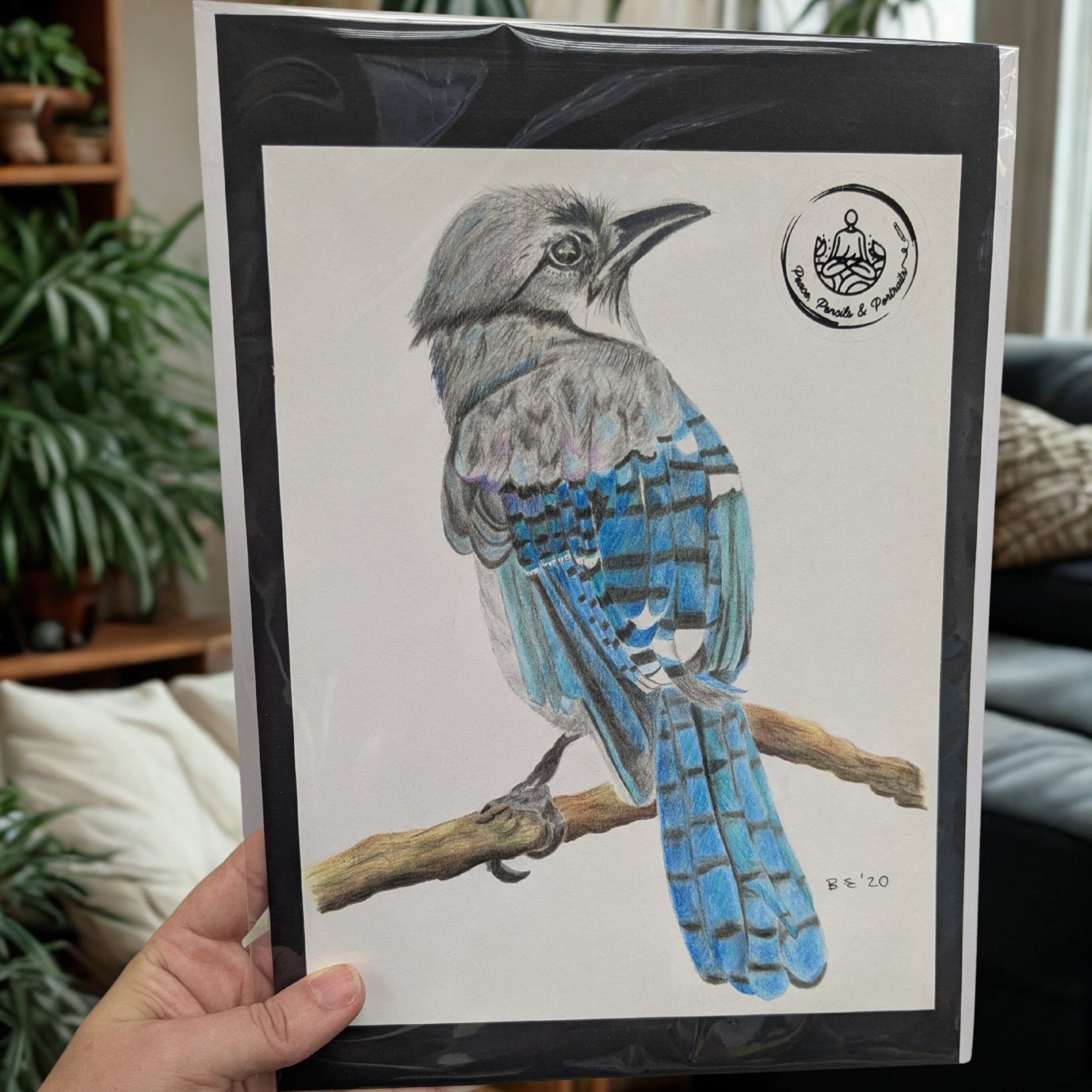 Handmade Colour Pencil Drawing - Bird Series - Blue Jay | Buy Online from The Home Crafters