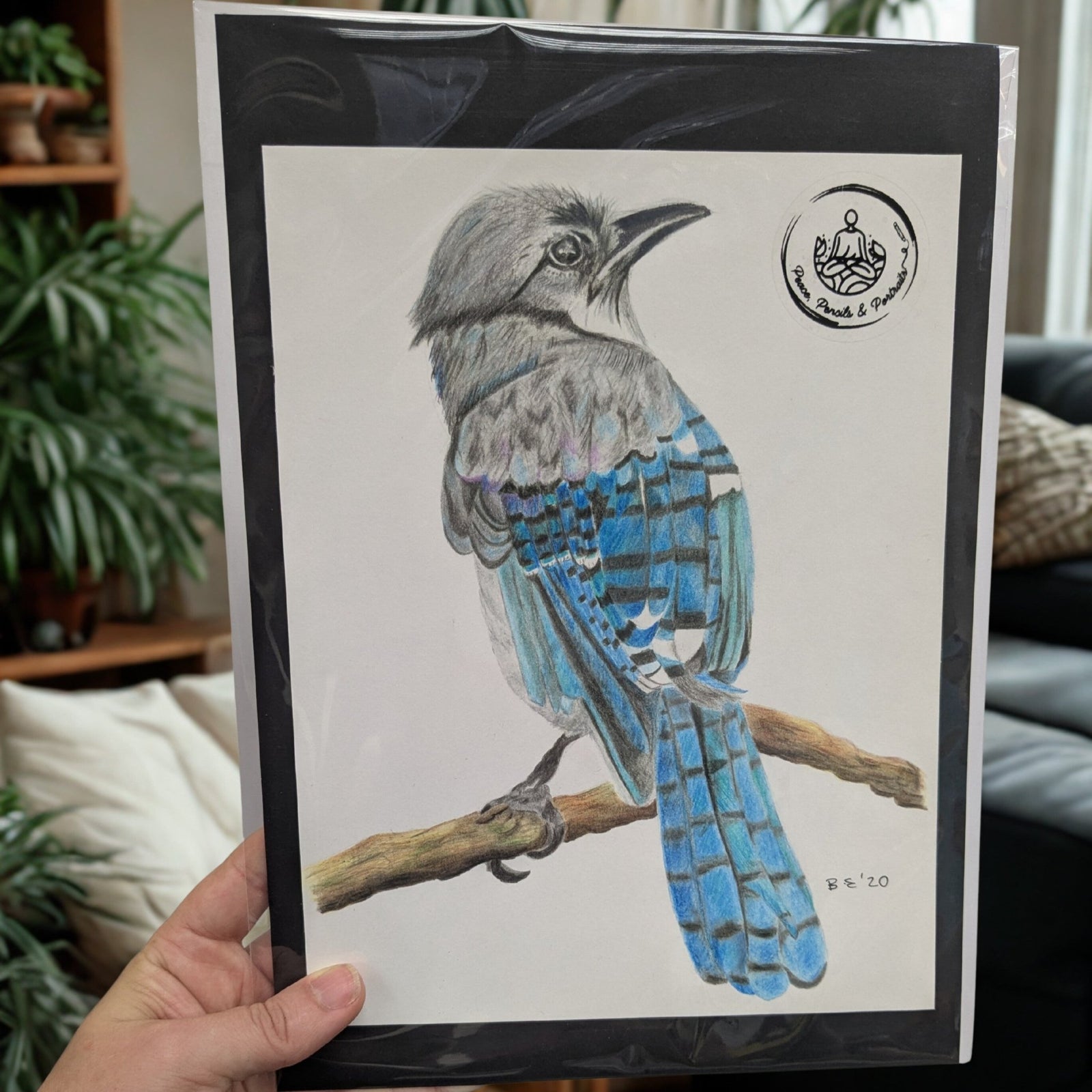 Handmade Colour Pencil Drawing - Bird Series - Blue Jay | Buy Online from The Home Crafters