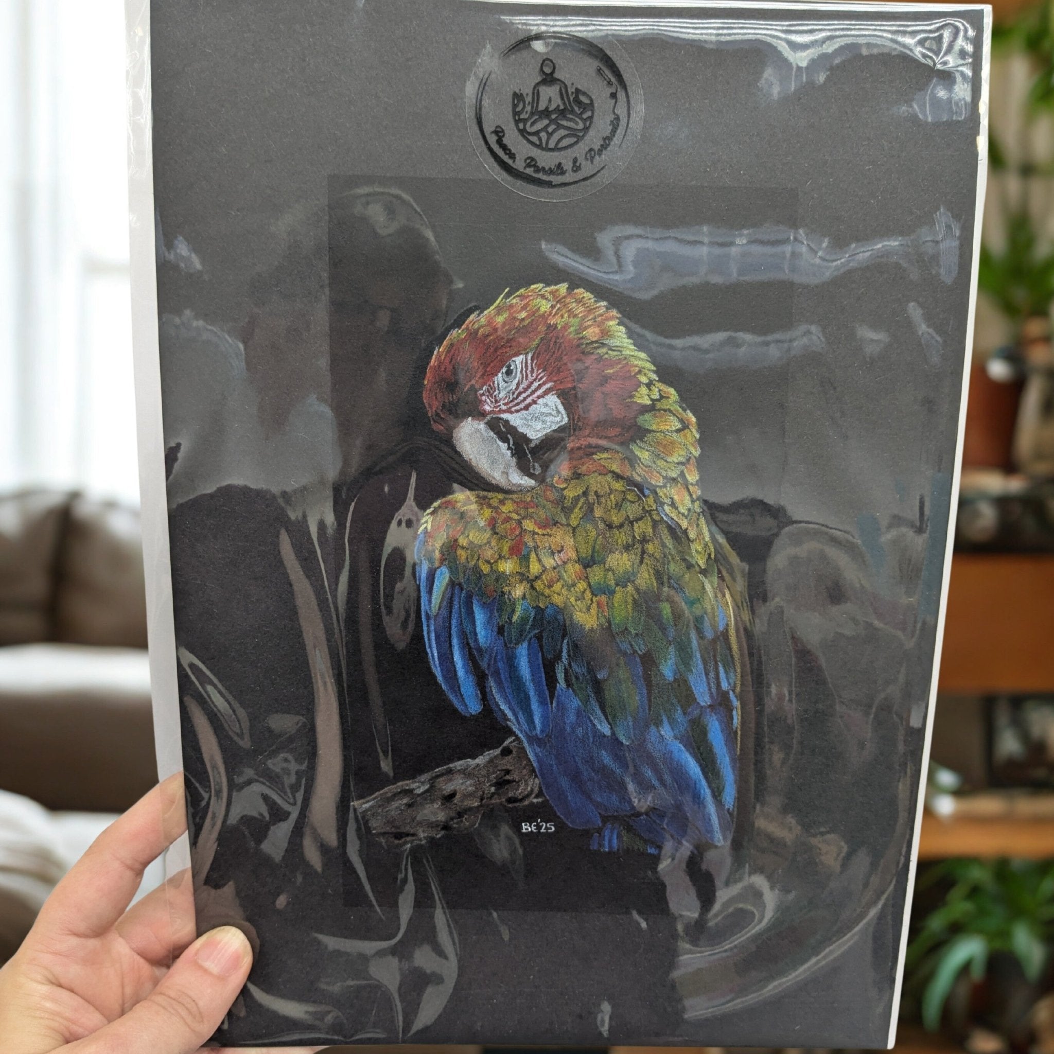Handmade Colour Pencil Drawing - Bird Series - Macaw | Buy Online from The Home Crafters