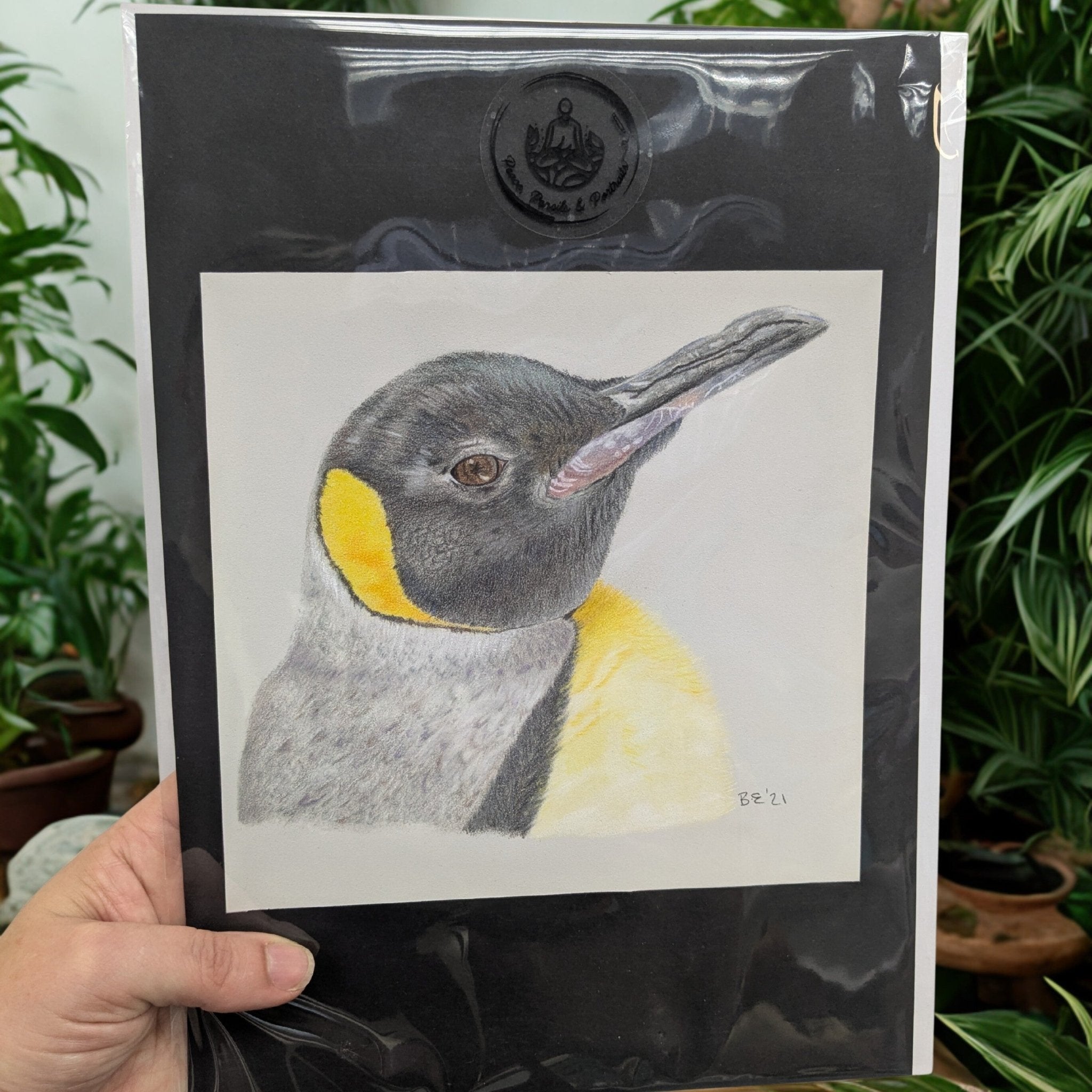 Handmade Colour Pencil Drawing - Bird Series - Penguin | Buy Online from The Home Crafters