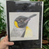 Handmade Colour Pencil Drawing - Bird Series - Penguin | Buy Online from The Home Crafters