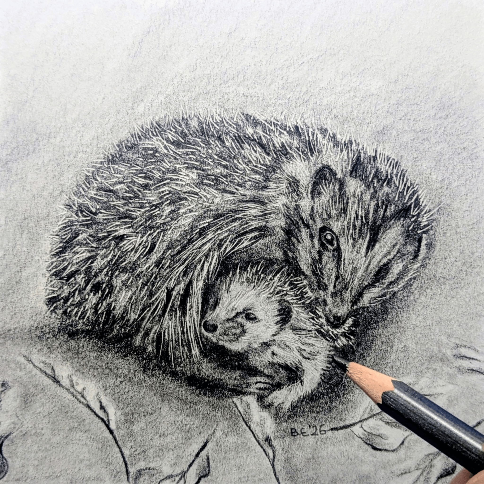 Art for Beginners - Getting Started in Coloured Pencil - monthly on a Saturday | Buy Online from The Home Crafters