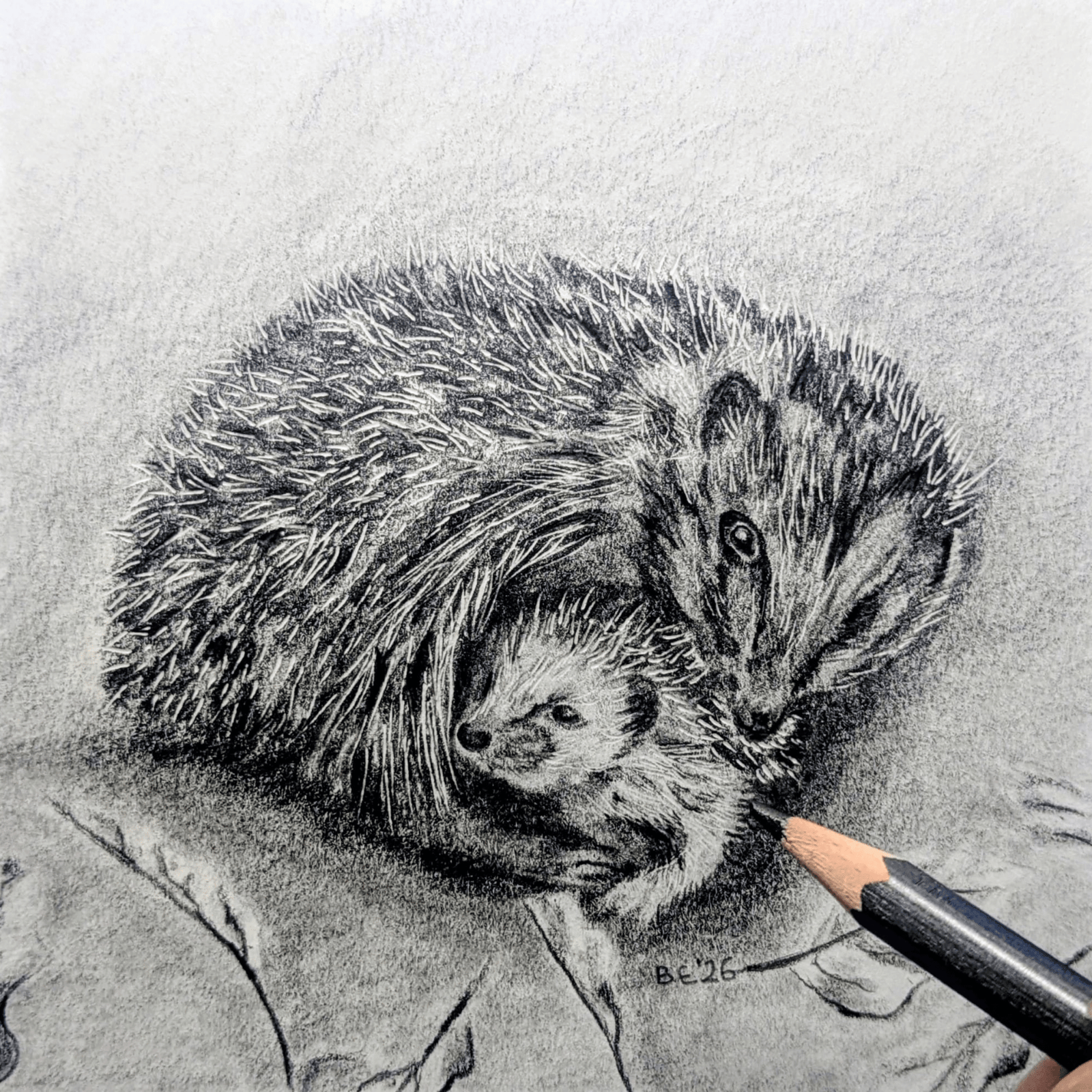 Art for Beginners - Getting Started in Coloured Pencil - monthly on a Saturday | Buy Online from The Home Crafters