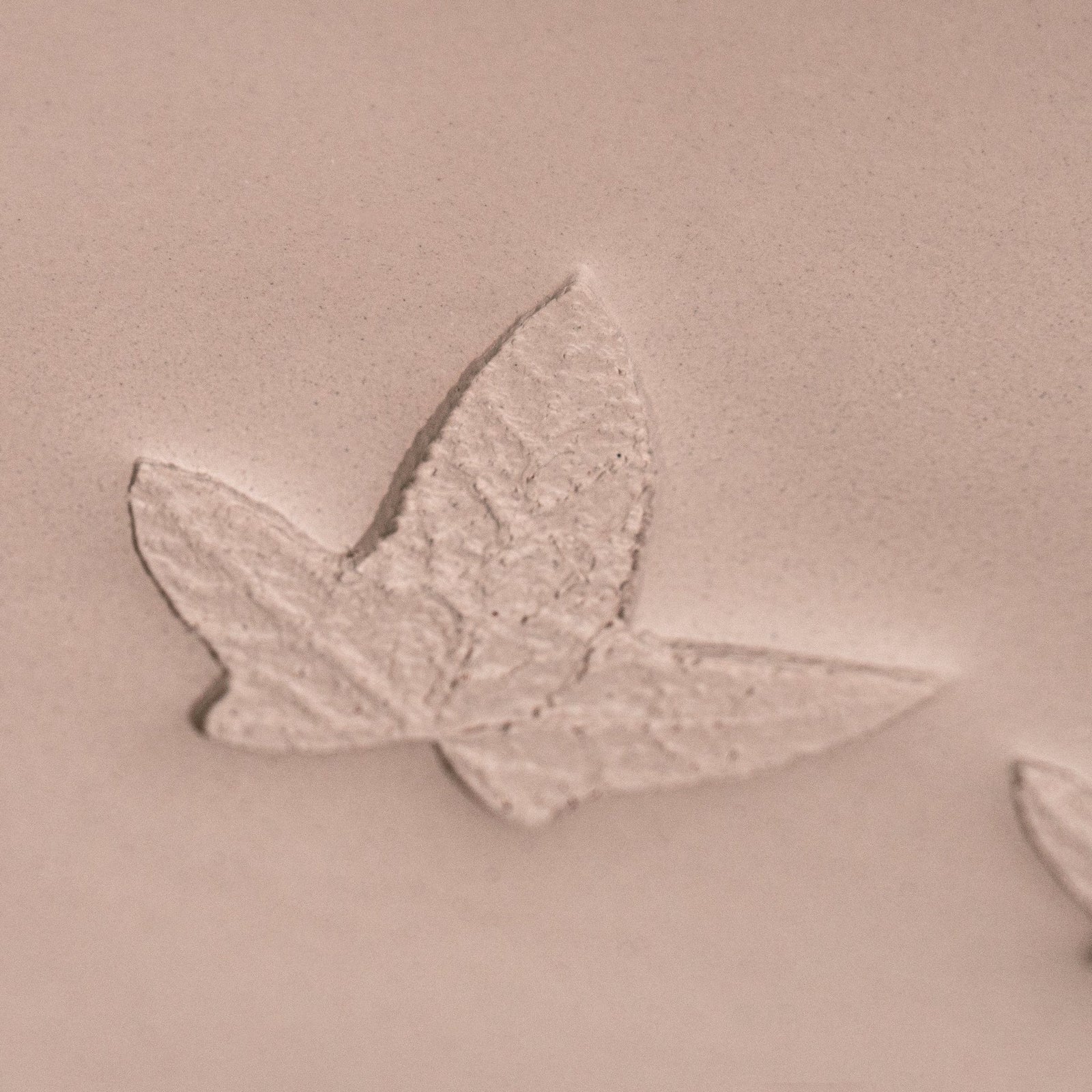 Ivy Leaf Stamp - Photo Textured - Style 3 | Buy Online from The Home Crafters