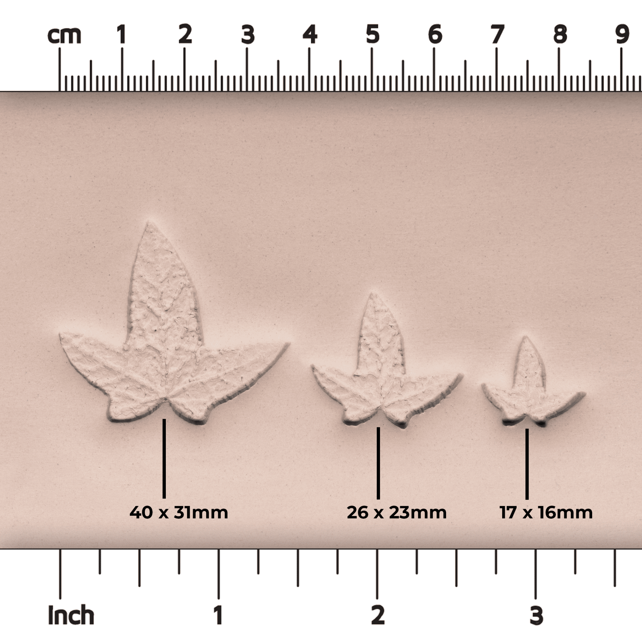 Ivy Leaf Stamp - Photo Textured - Style 3 | Buy Online from The Home Crafters