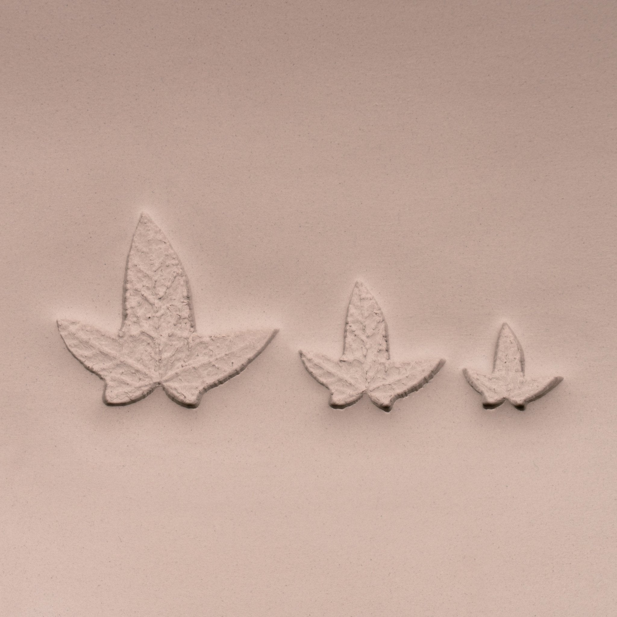 Ivy Leaf Stamp - Photo Textured - Style 3 | Buy Online from The Home Crafters