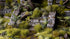 Gamers Grass Jungle XL (12mm) - Wild | Buy Online from The Home Crafters