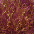 King Cole Tinsel Chunky Yarn - 50g | Buy Online from The Home Crafters