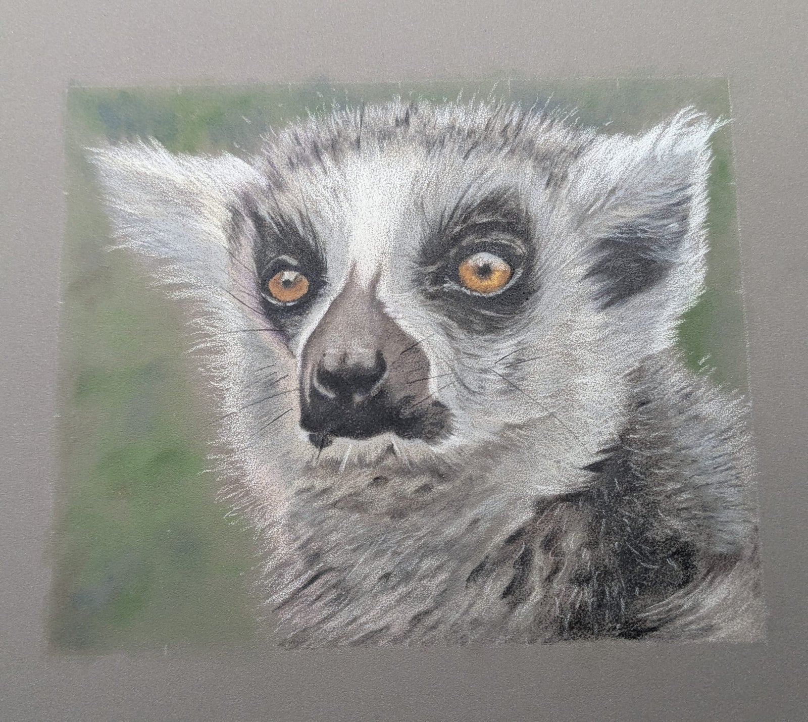 <b>2026</b> Art for Beginners - Getting Started in Coloured Pencil - monthly on a Saturday | Buy Online from The Home Crafters