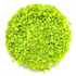 Green Stuff World: Tree Bush Clump Foliage - 200ml