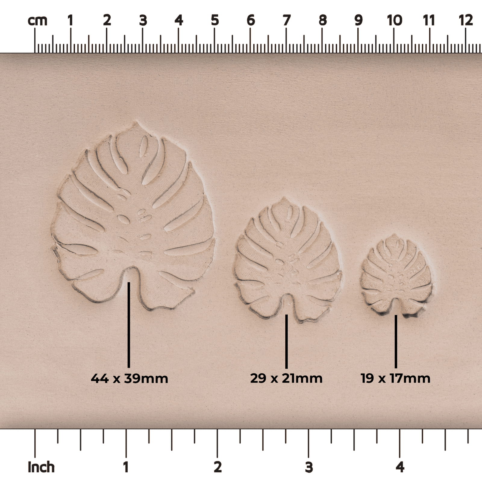 Monstera Leaf Stamps - 3 Styles & Sizes | Buy Online from The Home Crafters