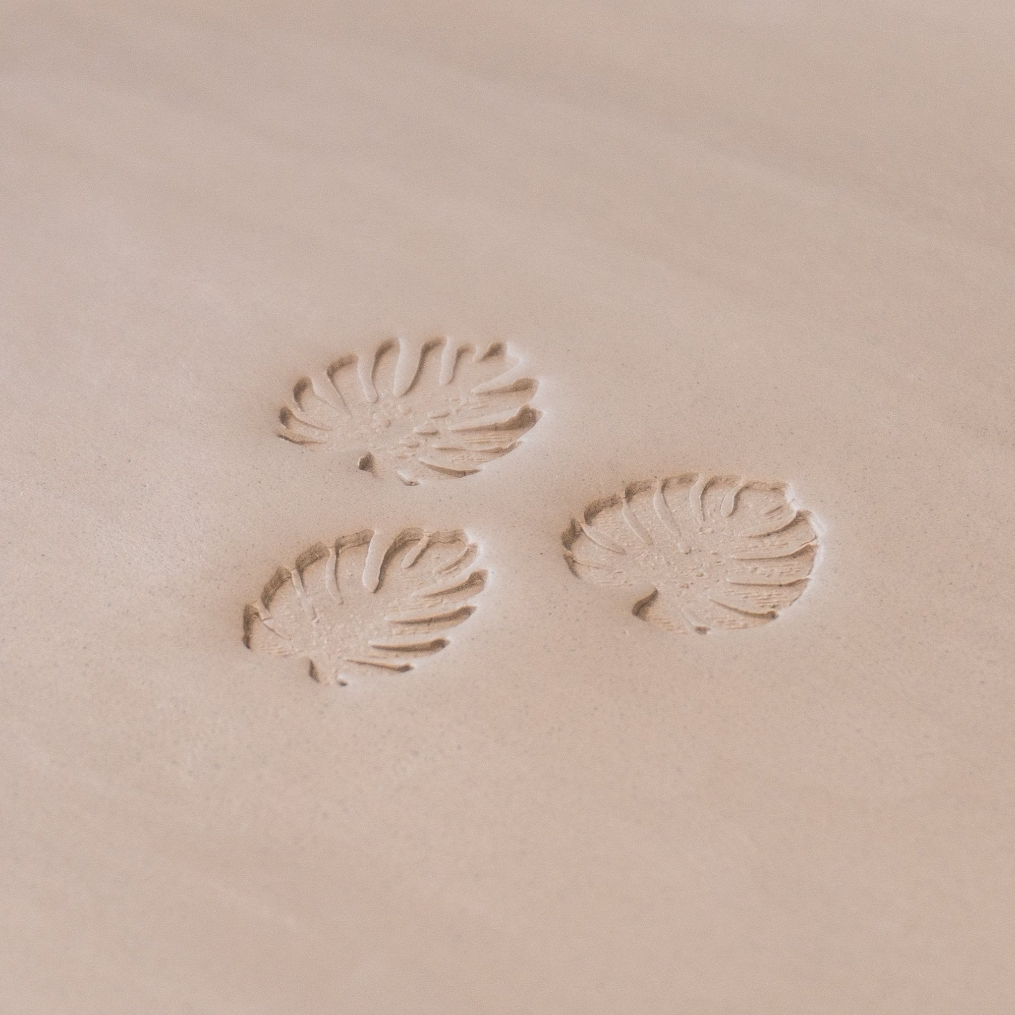 Monstera Leaf Stamps - 3 Styles & Sizes | Buy Online from The Home Crafters