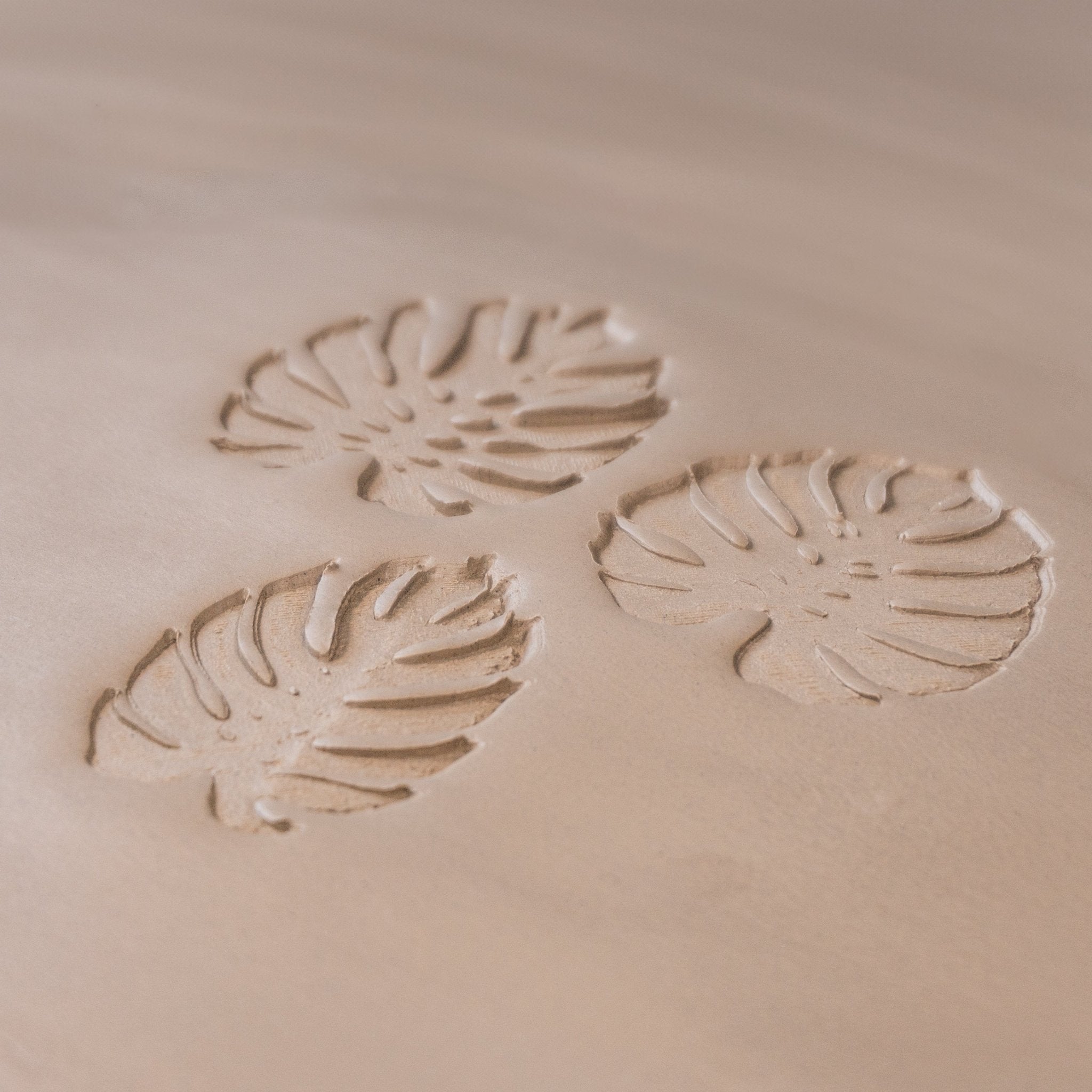 Monstera Leaf Stamps - 3 Styles & Sizes | Buy Online from The Home Crafters