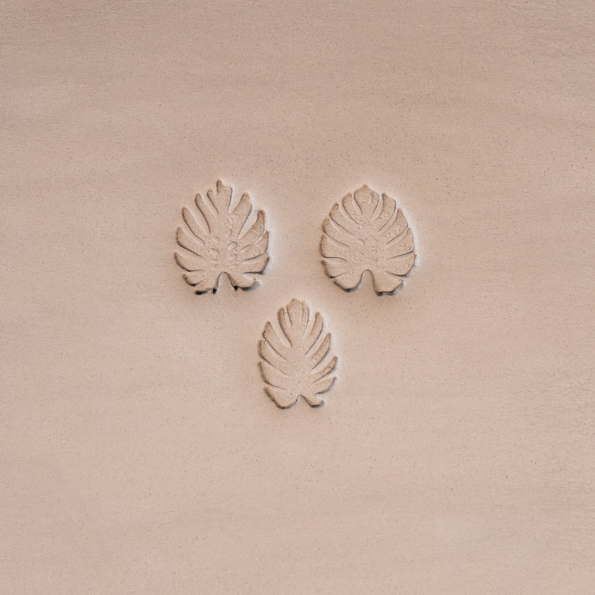 Monstera Leaf Stamps - 3 Styles & Sizes | Buy Online from The Home Crafters