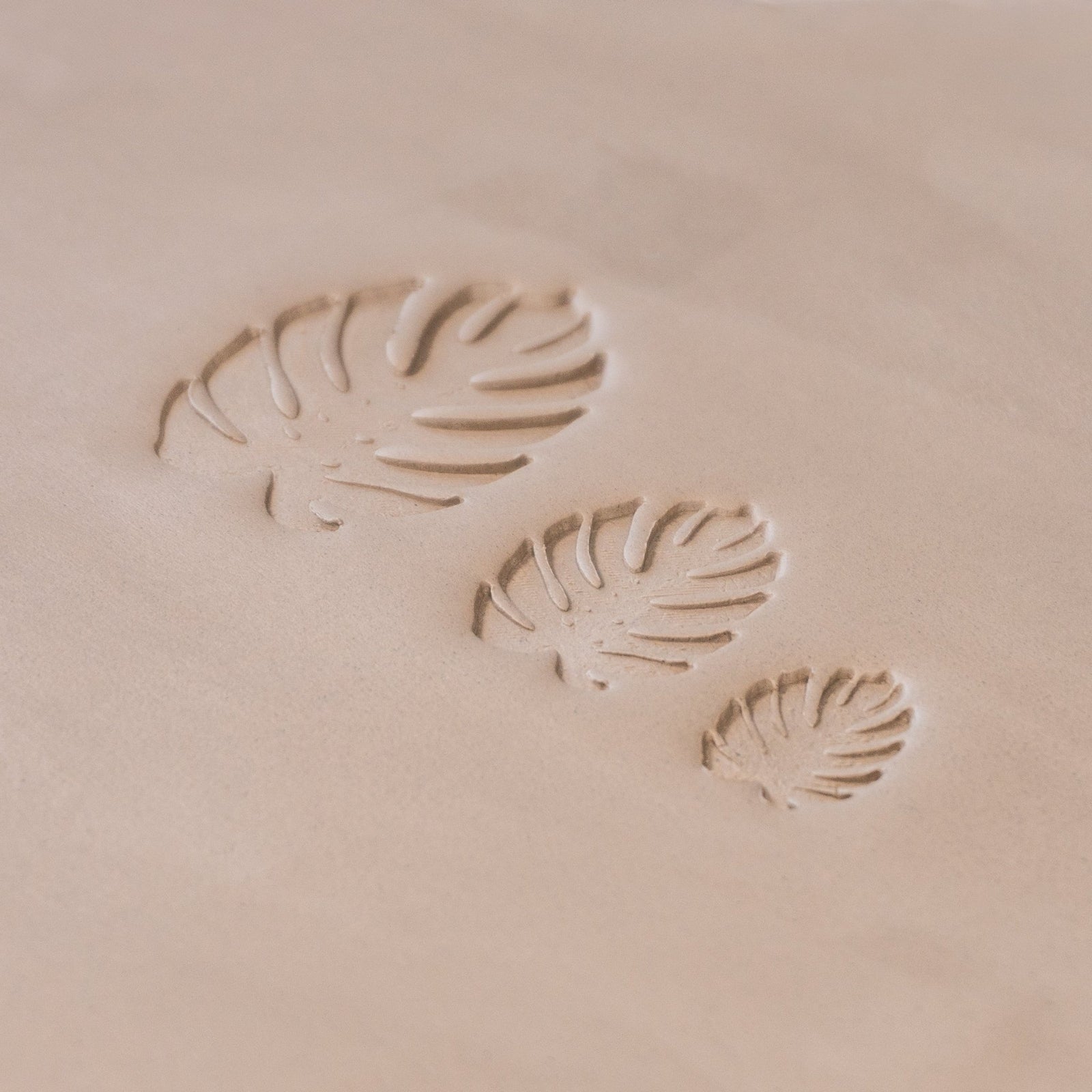 Monstera Leaf Stamps - 3 Styles & Sizes | Buy Online from The Home Crafters