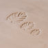 Monstera Leaf Stamps - 3 Styles & Sizes | Buy Online from The Home Crafters