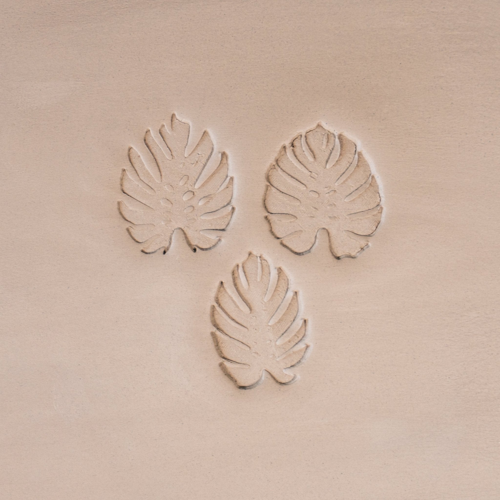 Monstera Leaf Stamps - 3 Styles & Sizes | Buy Online from The Home Crafters