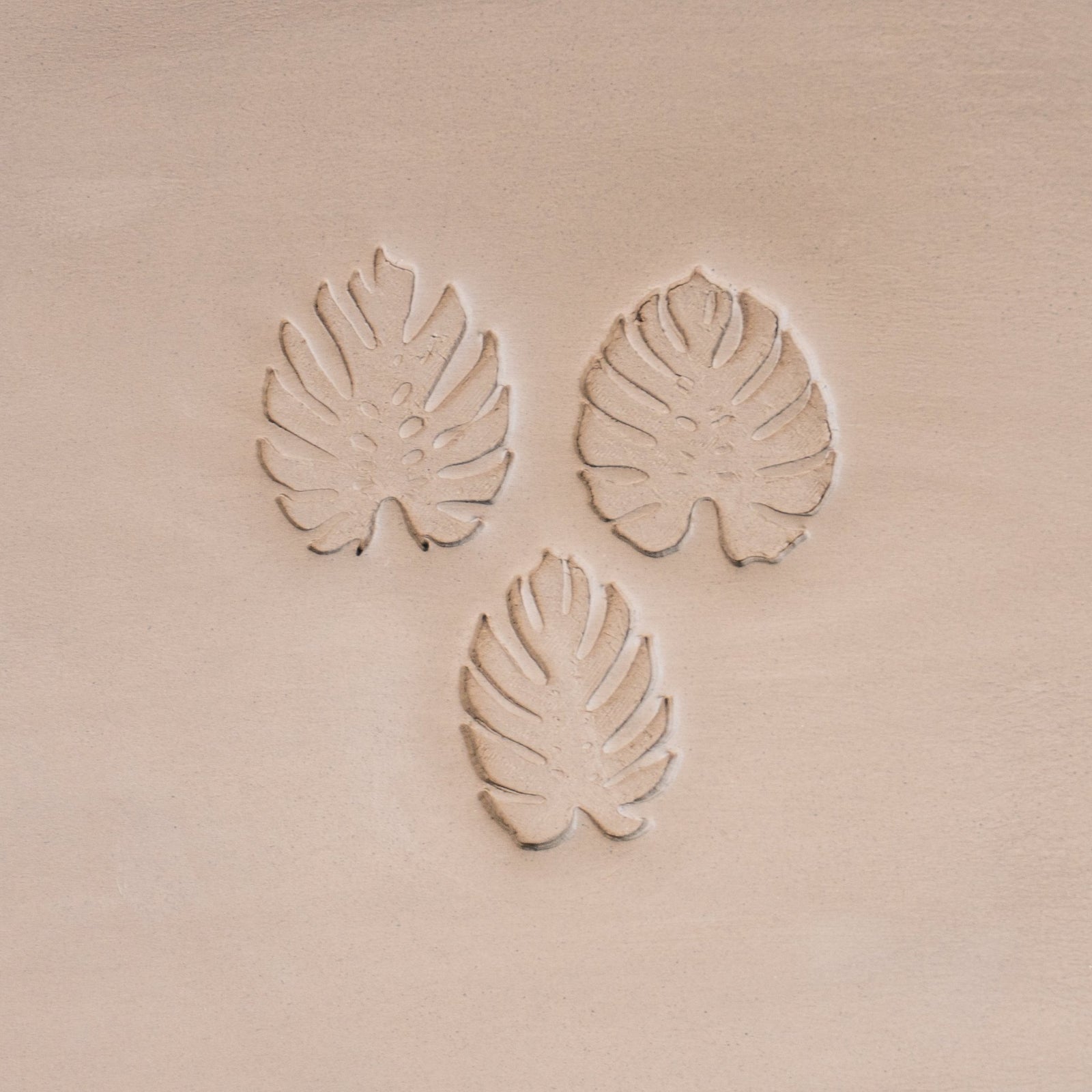 Monstera Leaf Stamps - 3 Styles & Sizes | Buy Online from The Home Crafters
