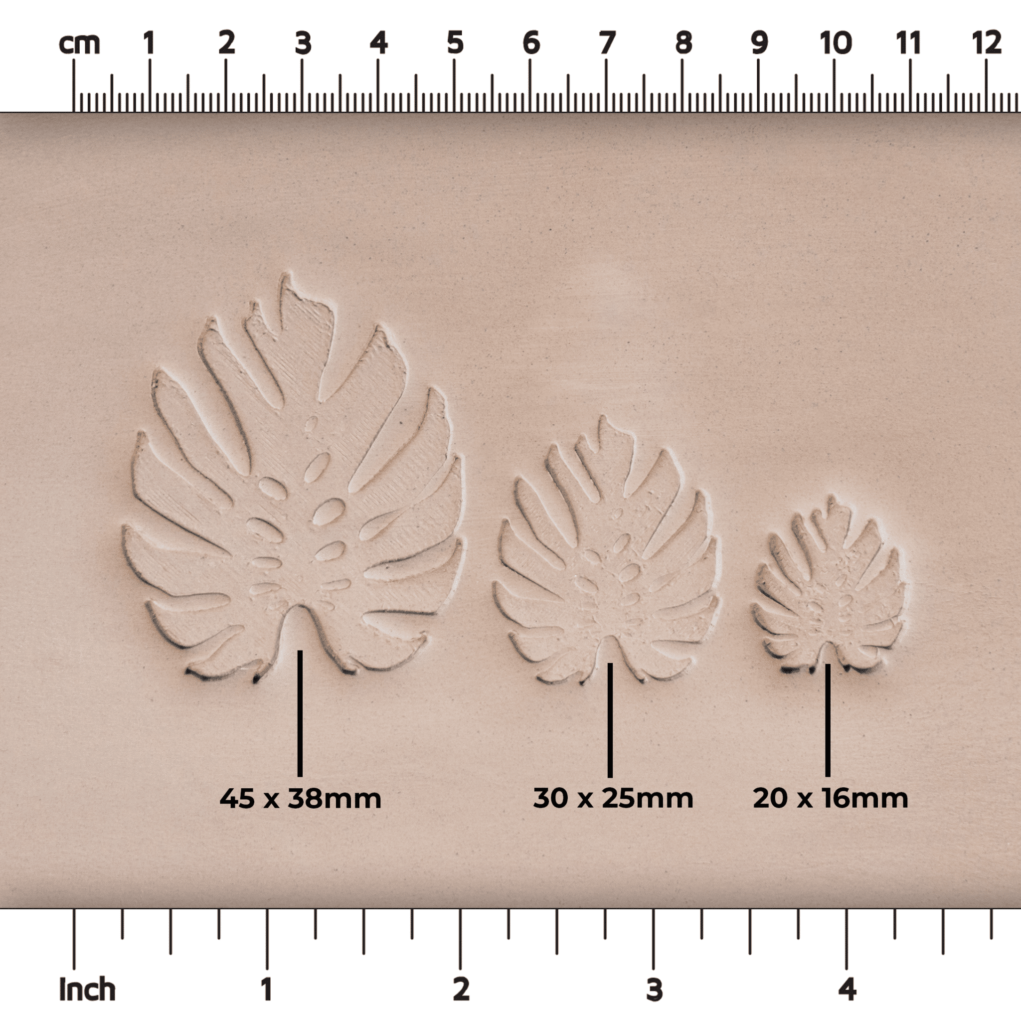 Monstera Leaf Stamps - 3 Styles & Sizes | Buy Online from The Home Crafters