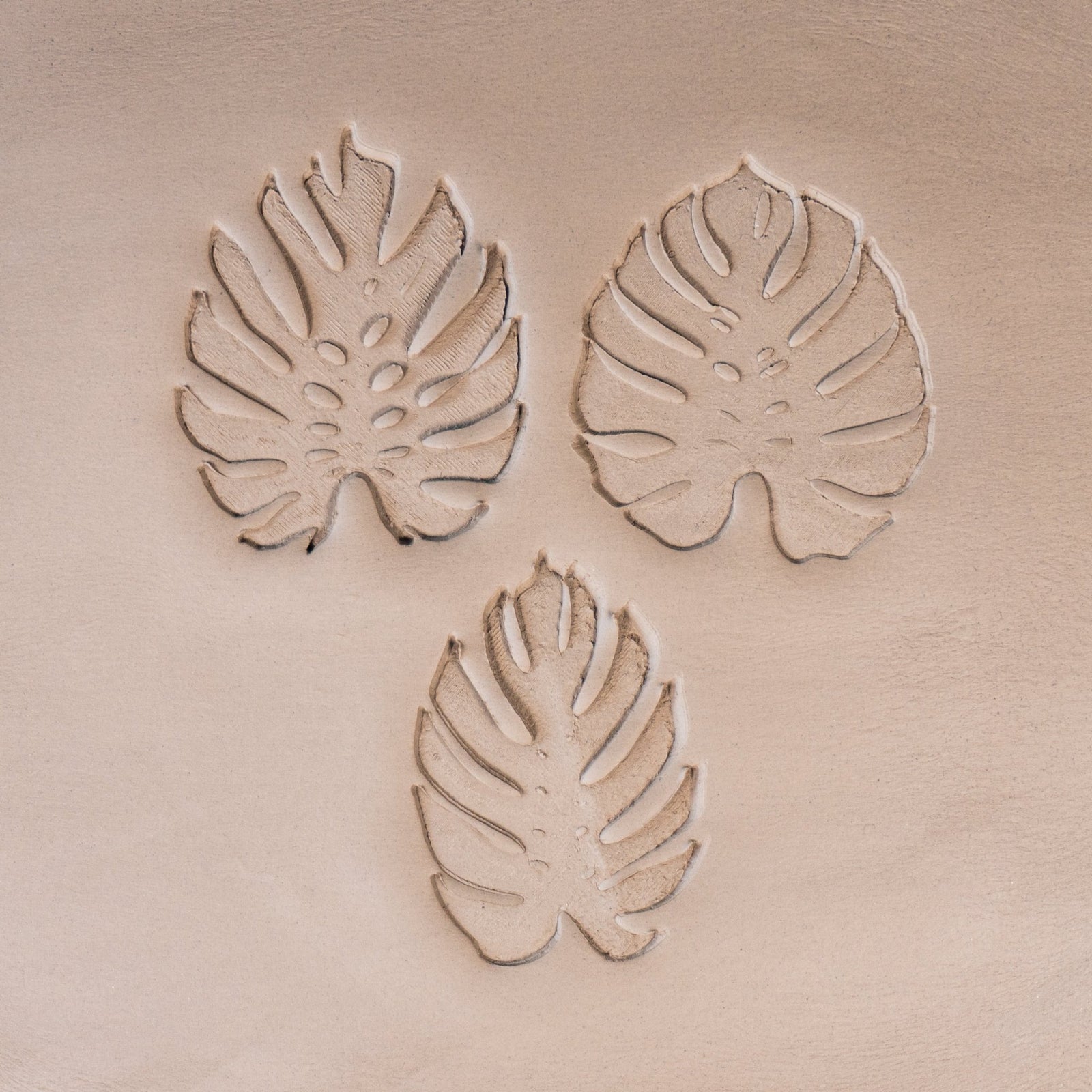 Monstera Leaf Stamps - 3 Styles & Sizes | Buy Online from The Home Crafters