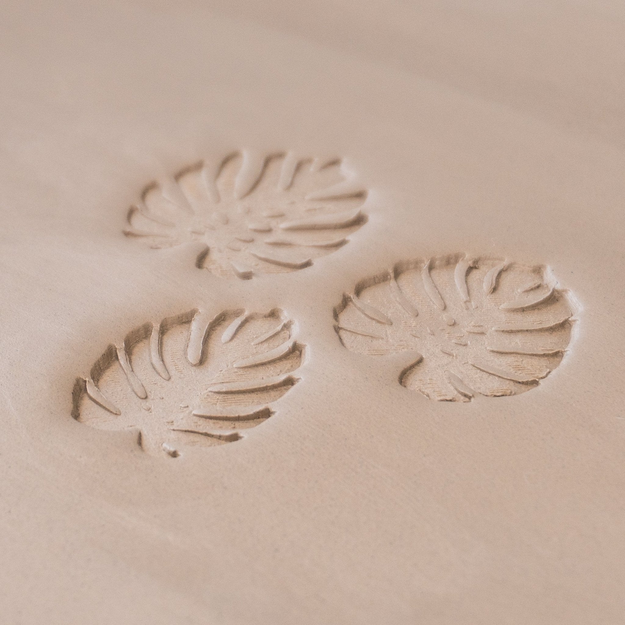 Monstera Leaf Stamps - 3 Styles & Sizes | Buy Online from The Home Crafters