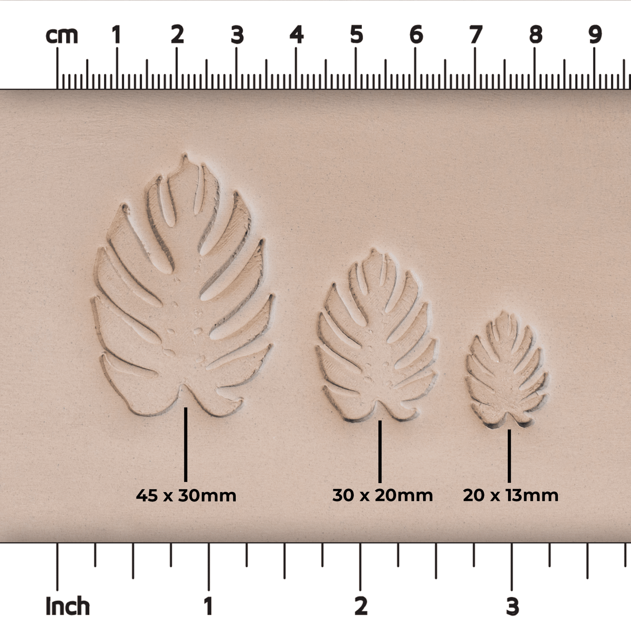 Monstera Leaf Stamps - 3 Styles & Sizes | Buy Online from The Home Crafters