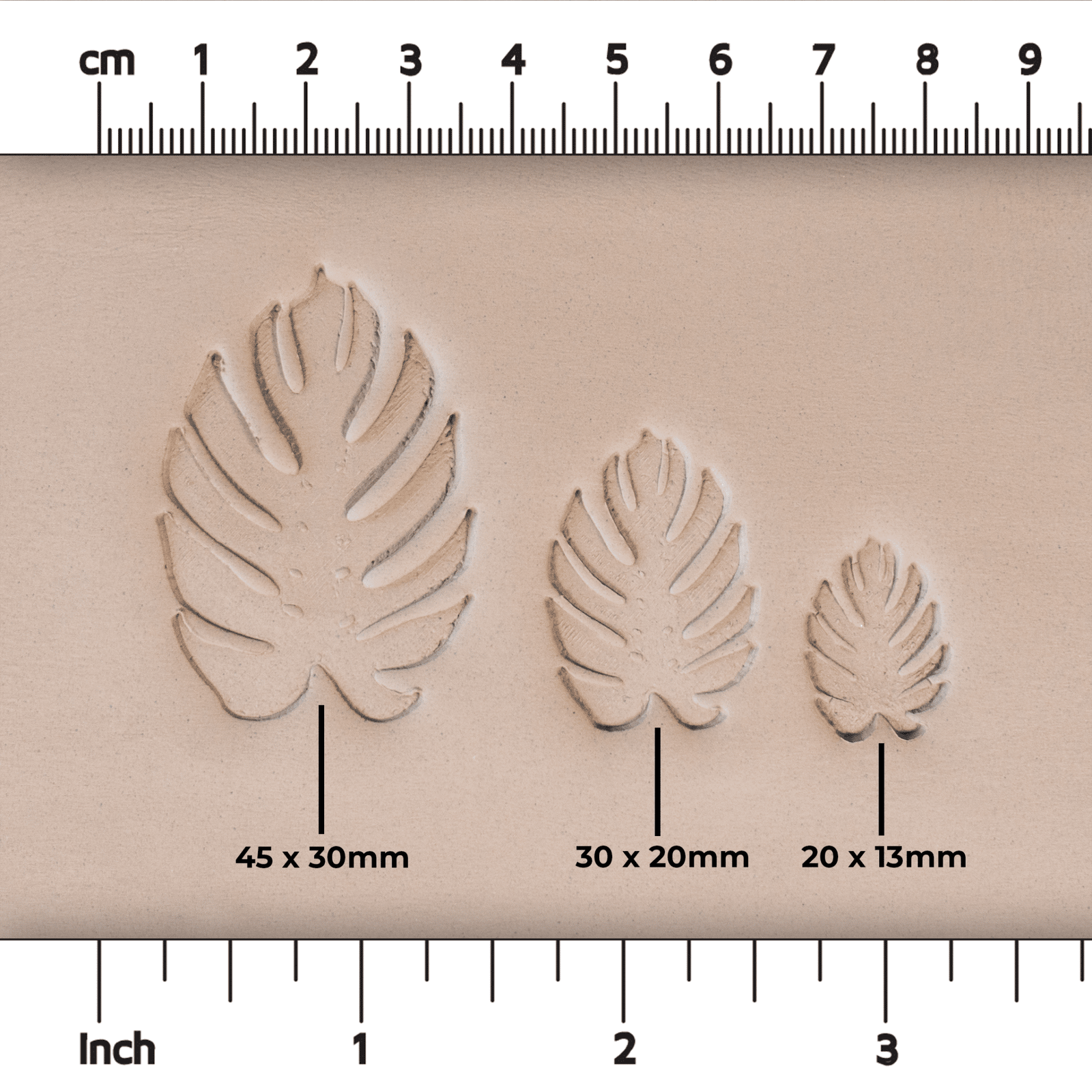 Monstera Leaf Stamps - 3 Styles & Sizes | Buy Online from The Home Crafters