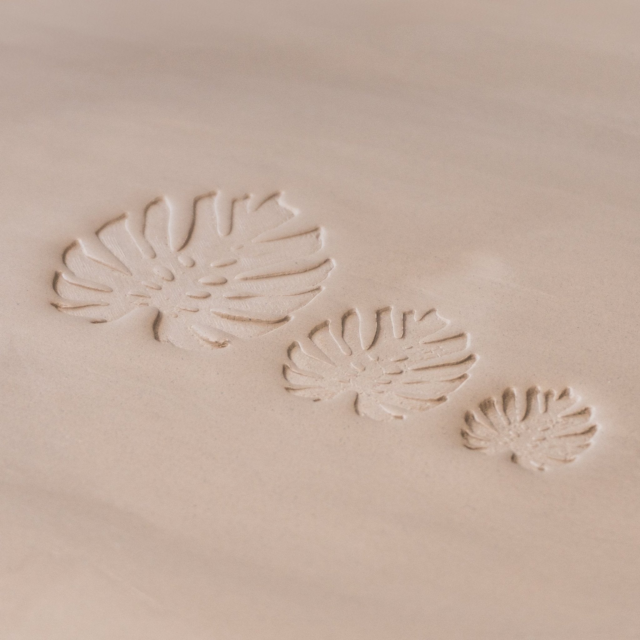 Monstera Leaf Stamps - 3 Styles & Sizes | Buy Online from The Home Crafters