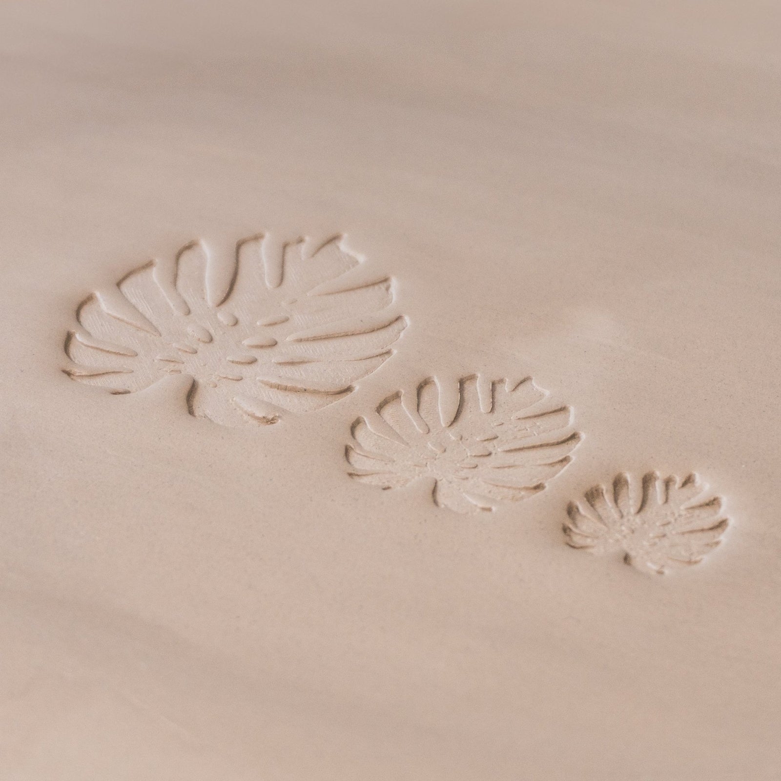 Monstera Leaf Stamps - 3 Styles & Sizes | Buy Online from The Home Crafters
