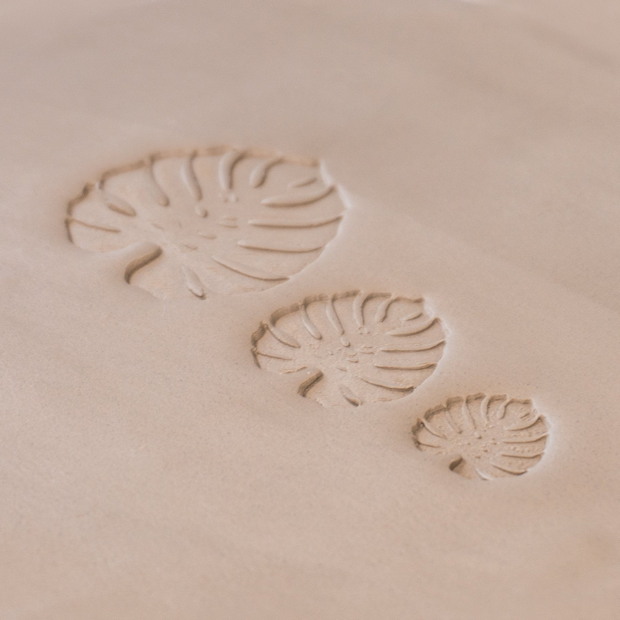 Monstera Leaf Stamps - 3 Styles & Sizes | Buy Online from The Home Crafters
