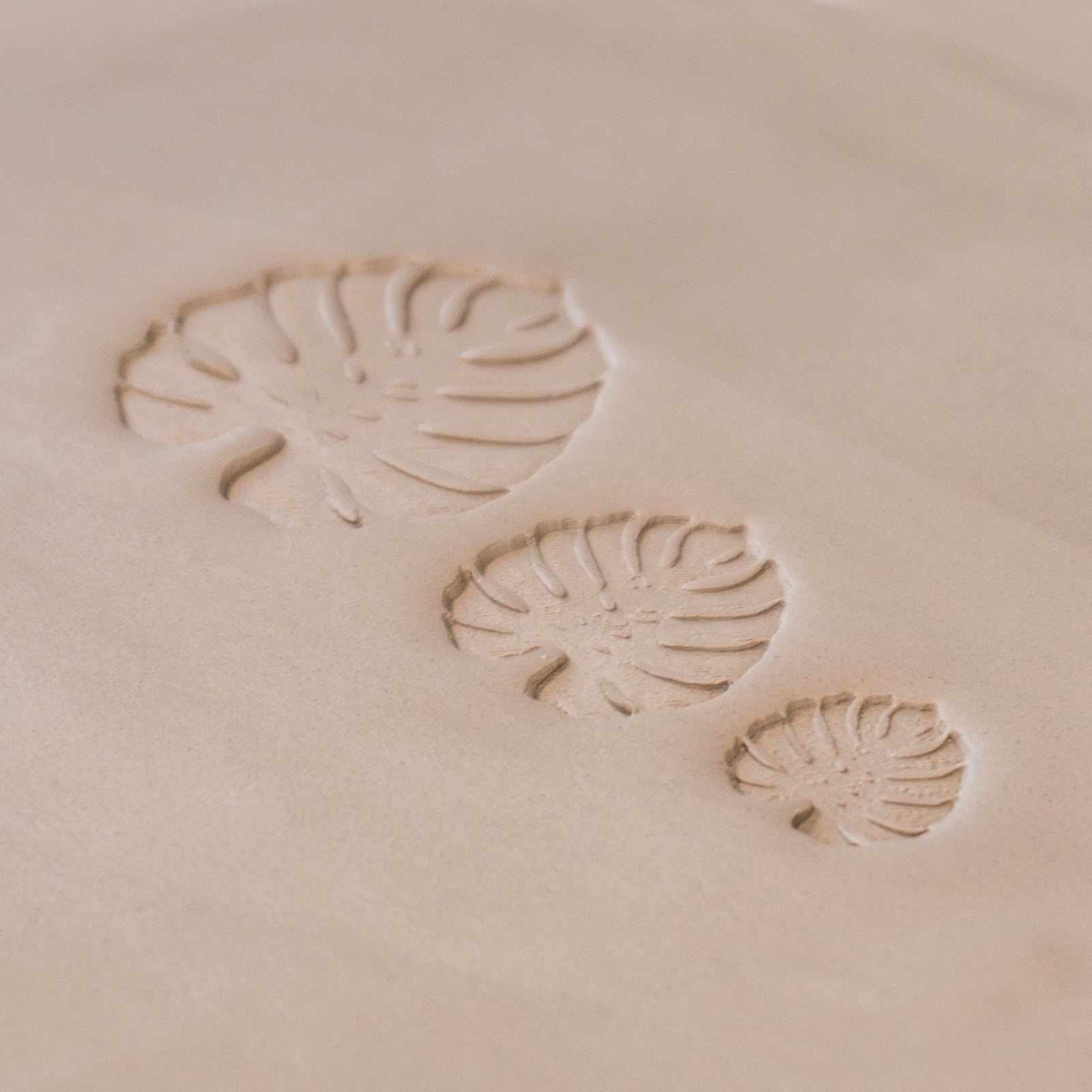 Monstera Leaf Stamps - 3 Styles & Sizes | Buy Online from The Home Crafters