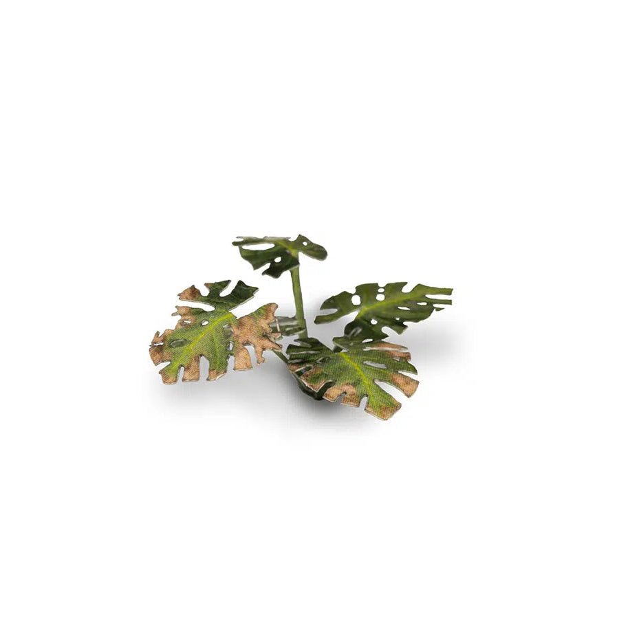 Gamers Grass Laser Plants - Monstera