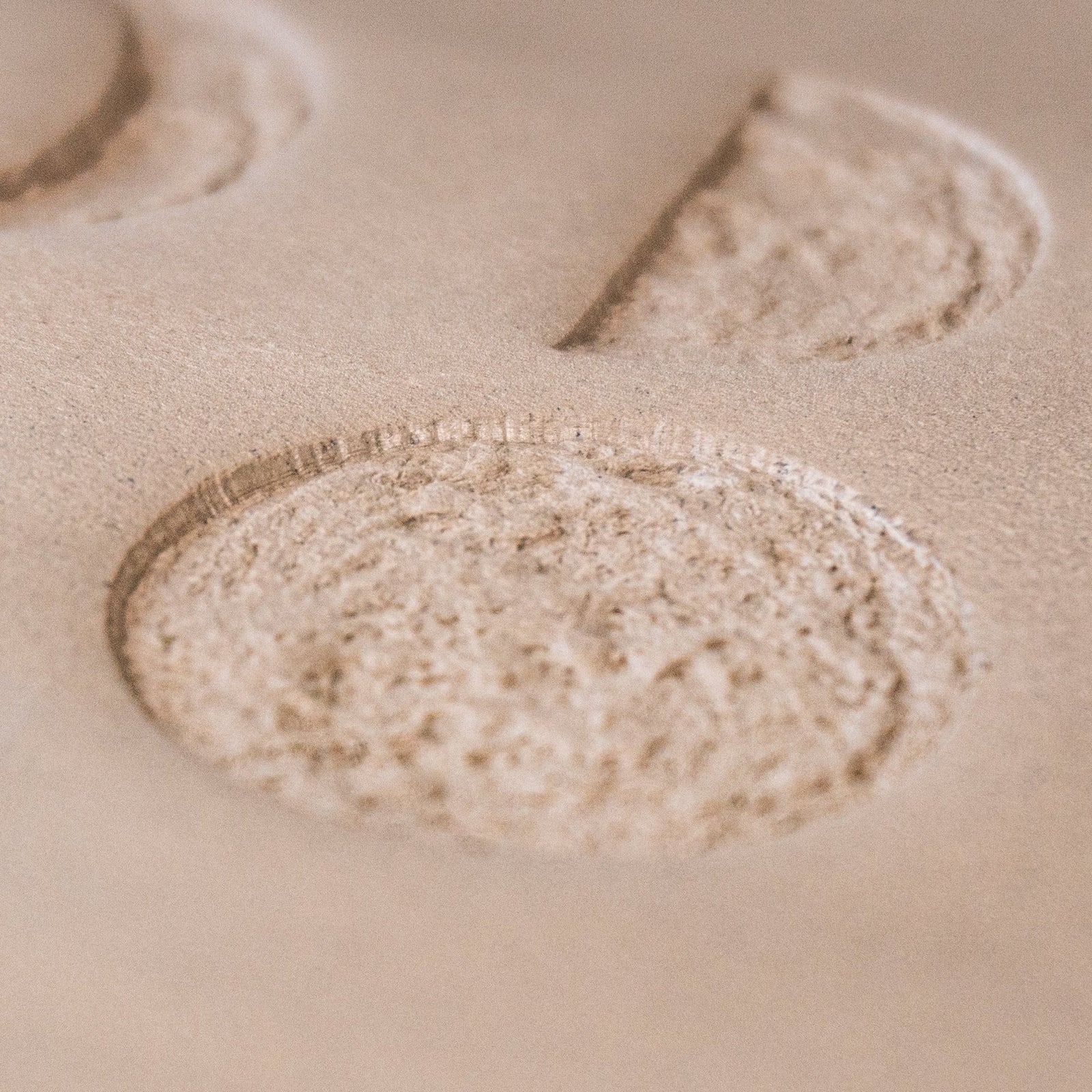 Moon Phases Set of Four Stamps | Buy Online from The Home Crafters