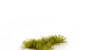 Gamers Grass Moss 2mm